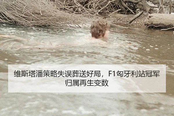 wei-si-ta-pan-ce-lve-shi-wu-zang-song-hao-ju-xiong-ya-li-zhan-guan-jun-gui-shu-zai-sheng-bian-shu-2-762.jpg