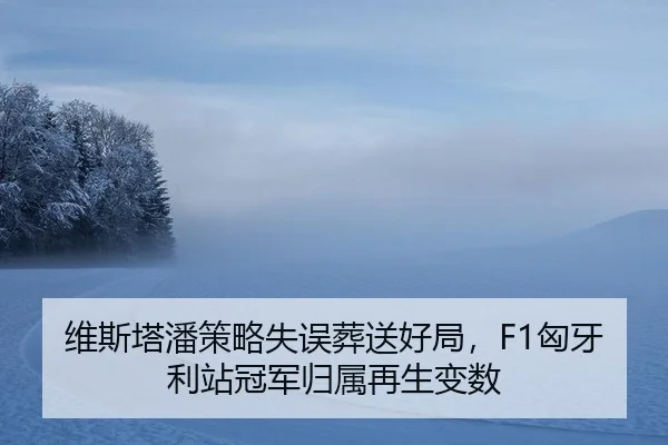 wei-si-ta-pan-ce-lve-shi-wu-zang-song-hao-ju-xiong-ya-li-zhan-guan-jun-gui-shu-zai-sheng-bian-shu-3-353.jpg