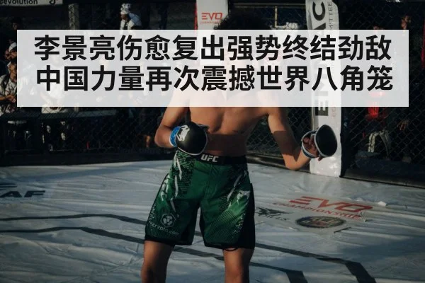 李景亮伤愈复出强势终结劲敌 中国力量再次震撼世界八角笼