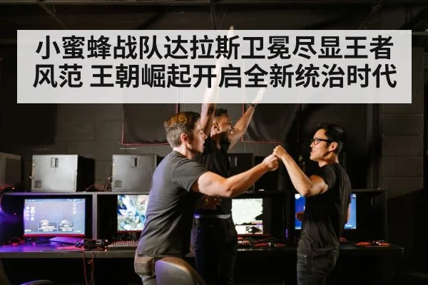 小蜜蜂战队达拉斯卫冕尽显王者风范 王朝崛起开启全新统治时代