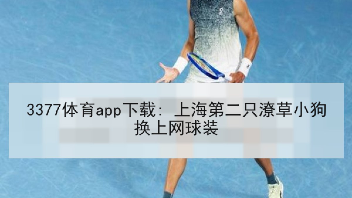 3377体育app下载: 上海第二只潦草小狗换上网球装 3377体育app下载: 上海第二只潦草小狗换上网球装